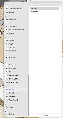 Screenshot 2026-01-21 alle 16.55.46